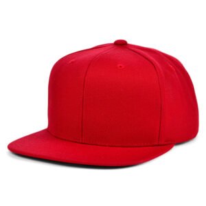 Snapback Caps